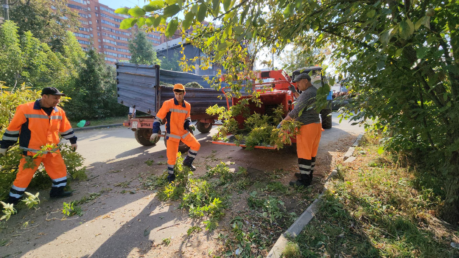 ивантеевка, пушкинский, снос аварийного жилья, снос дома, спил деревьев, городское хозяйство ивантеевка, коммунальная служба,аварийный дом,