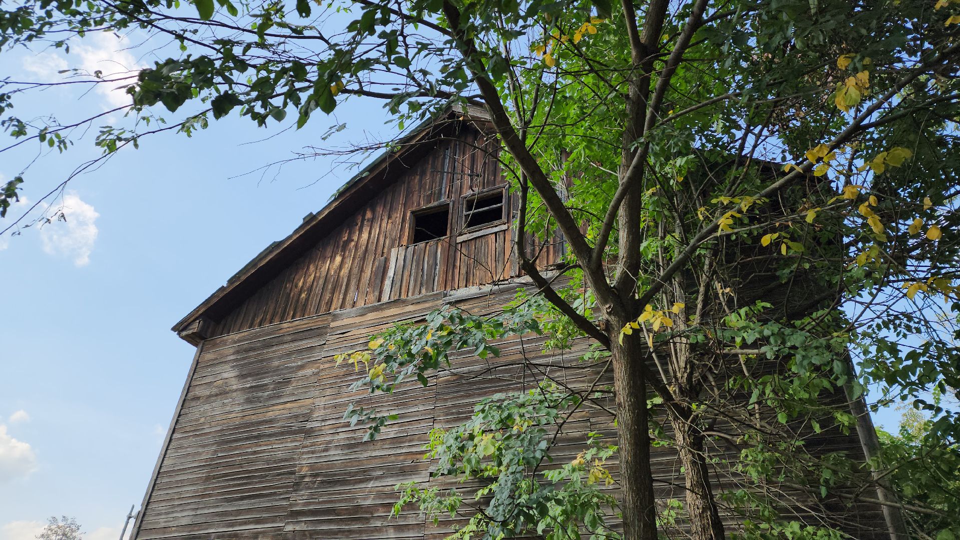 ивантеевка, пушкинский, снос аварийного жилья, снос дома, спил деревьев, городское хозяйство ивантеевка, коммунальная служба,аварийный дом,