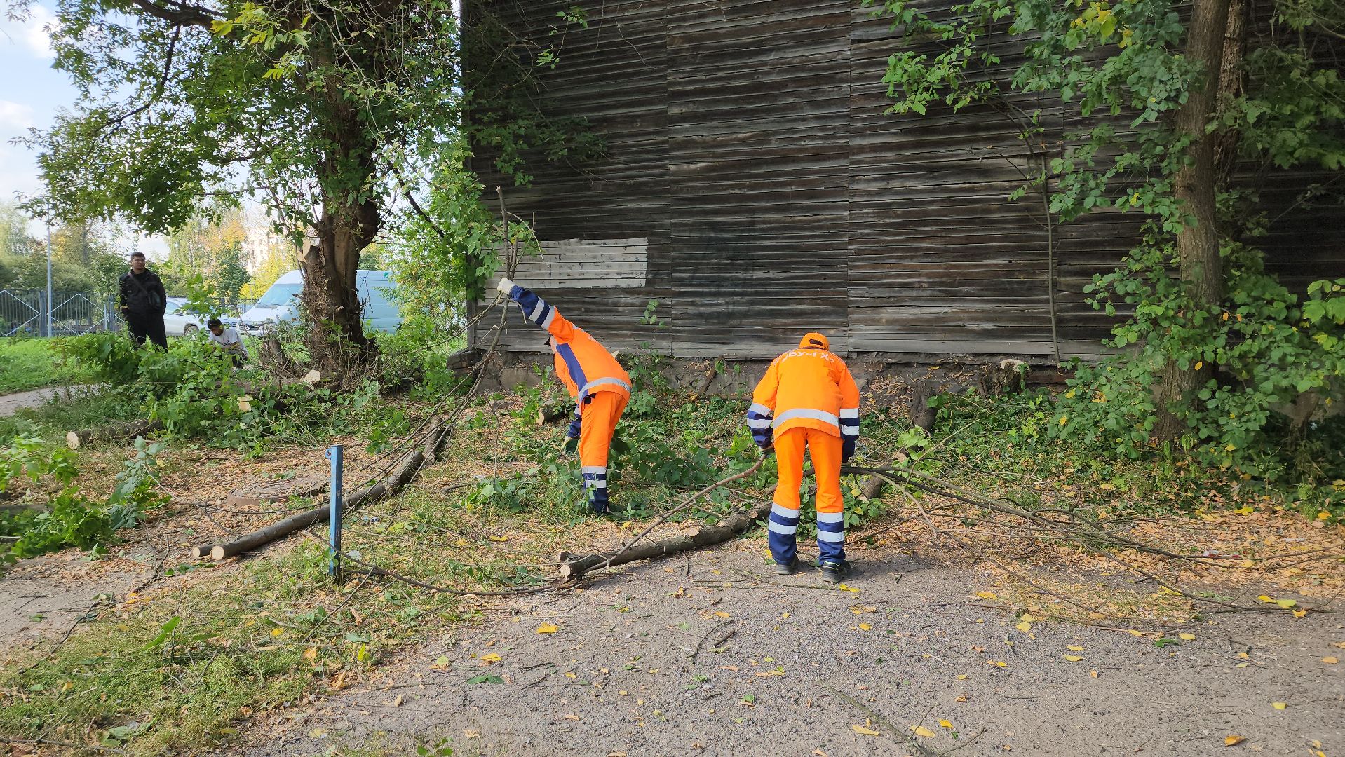 ивантеевка, пушкинский, снос аварийного жилья, снос дома, спил деревьев, городское хозяйство ивантеевка, коммунальная служба,аварийный дом,
