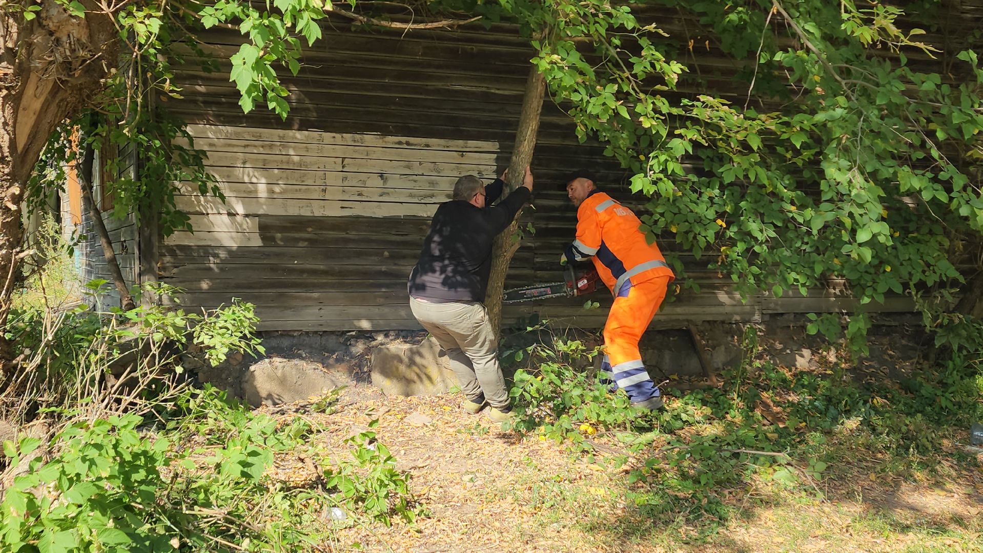 ивантеевка, пушкинский, снос аварийного жилья, снос дома, спил деревьев, городское хозяйство ивантеевка, коммунальная служба,аварийный дом,