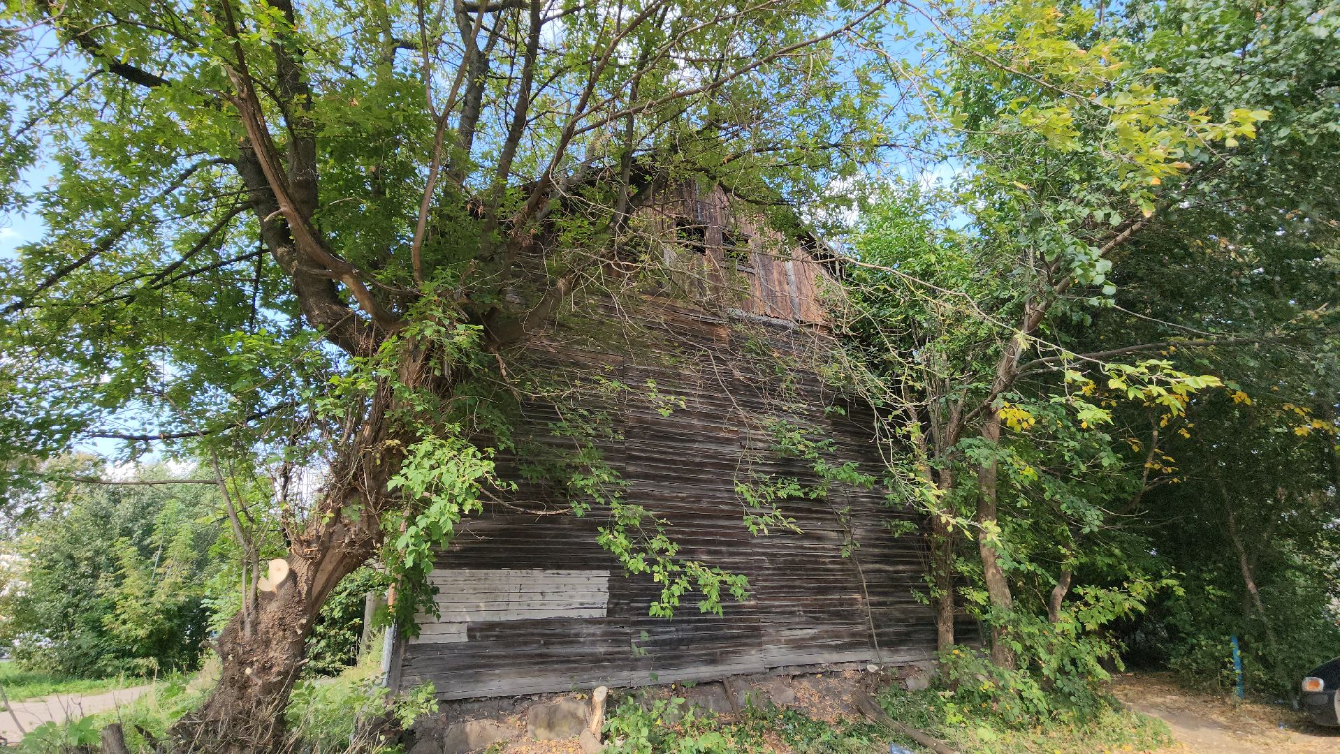 ивантеевка, пушкинский, снос аварийного жилья, снос дома, спил деревьев, городское хозяйство ивантеевка, коммунальная служба,аварийный дом,