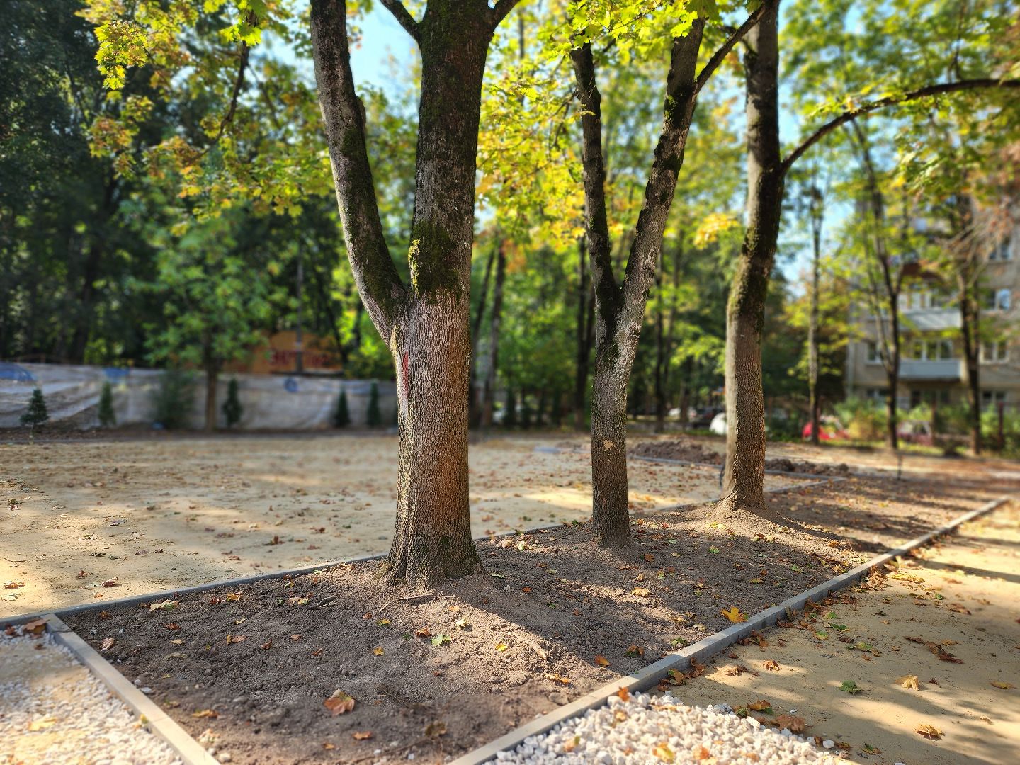 королёв, капитальный ремонт лицея 4, микрорайон юбилейный королев,