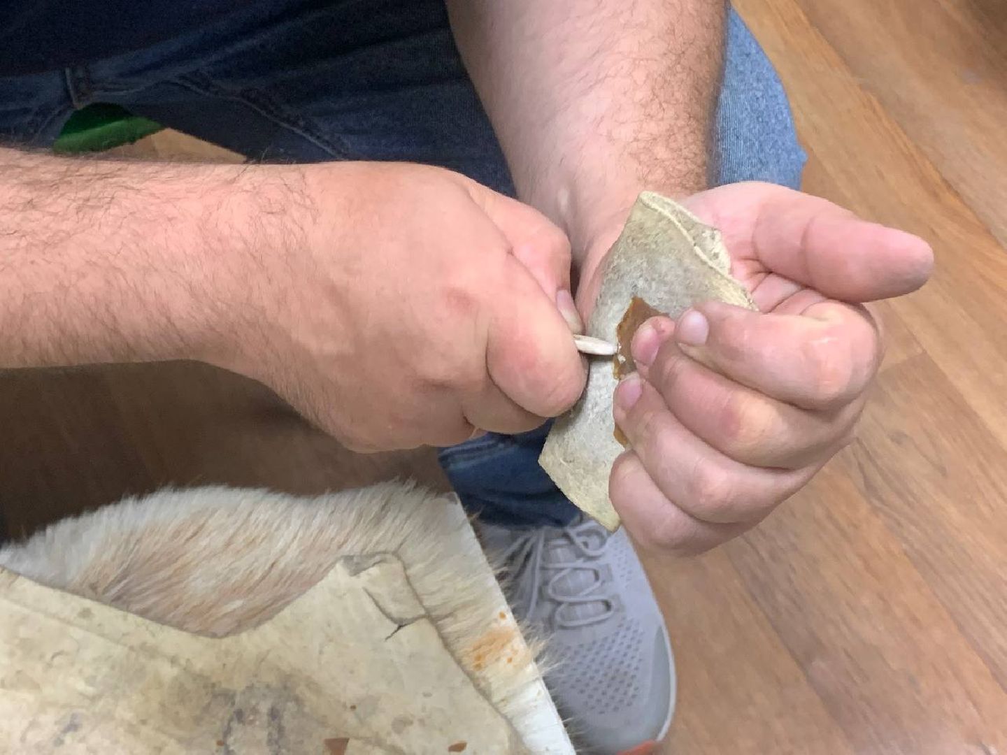 ступино, историческая реконструкция, лучник из Эймсбери,