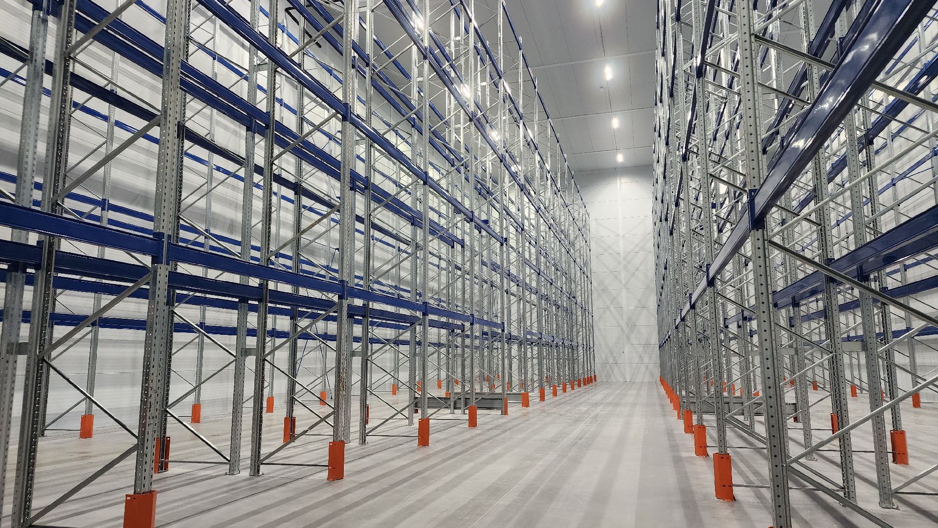 экономика,  производство замороженной продукции, складские помещения, лосино-петровский,