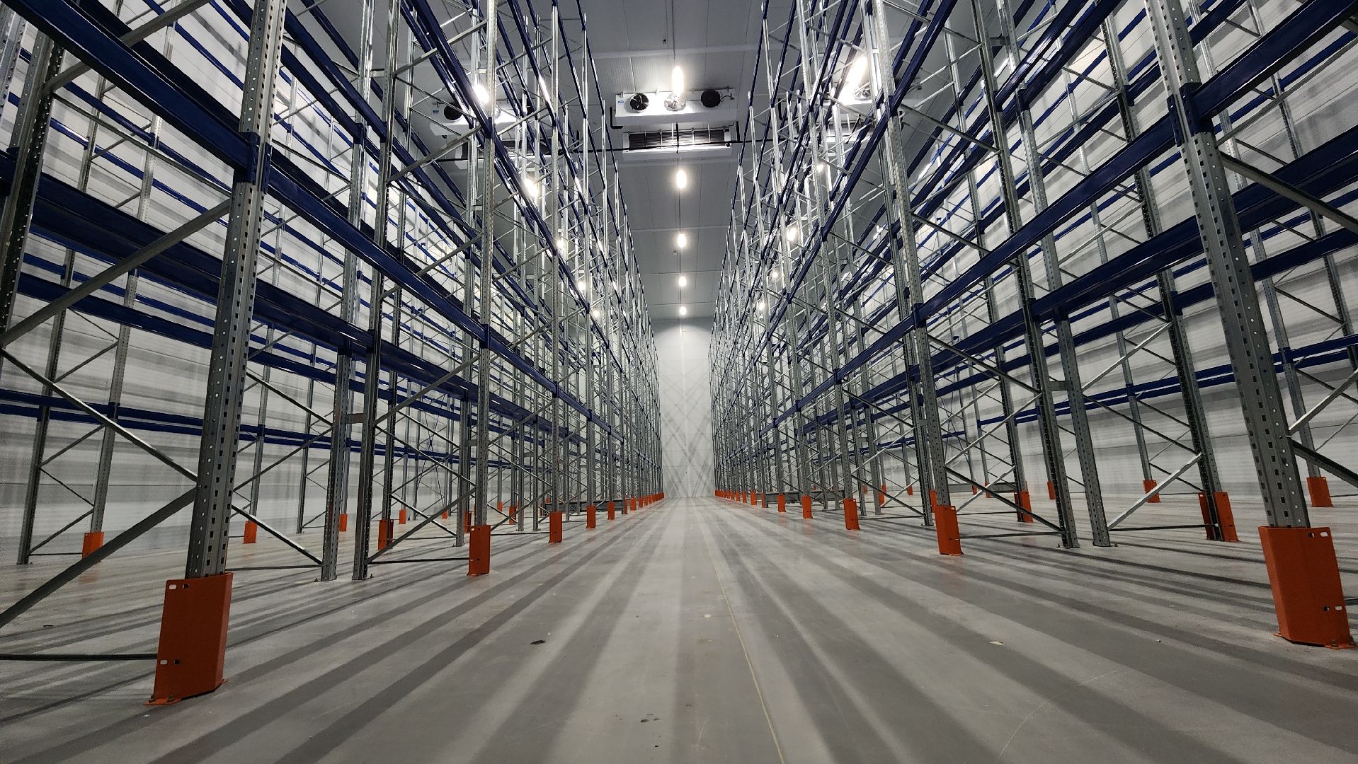 экономика,  производство замороженной продукции, складские помещения, лосино-петровский,