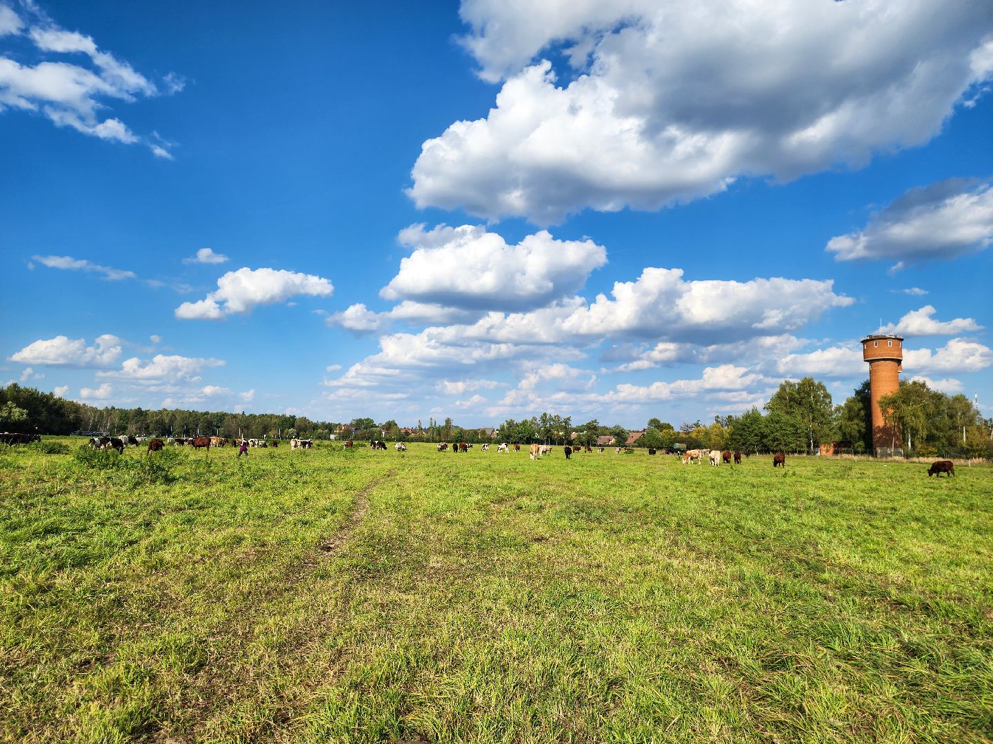Подольск, виж им эрнста, Генофонд, коровы,Клонирование,Ученые,