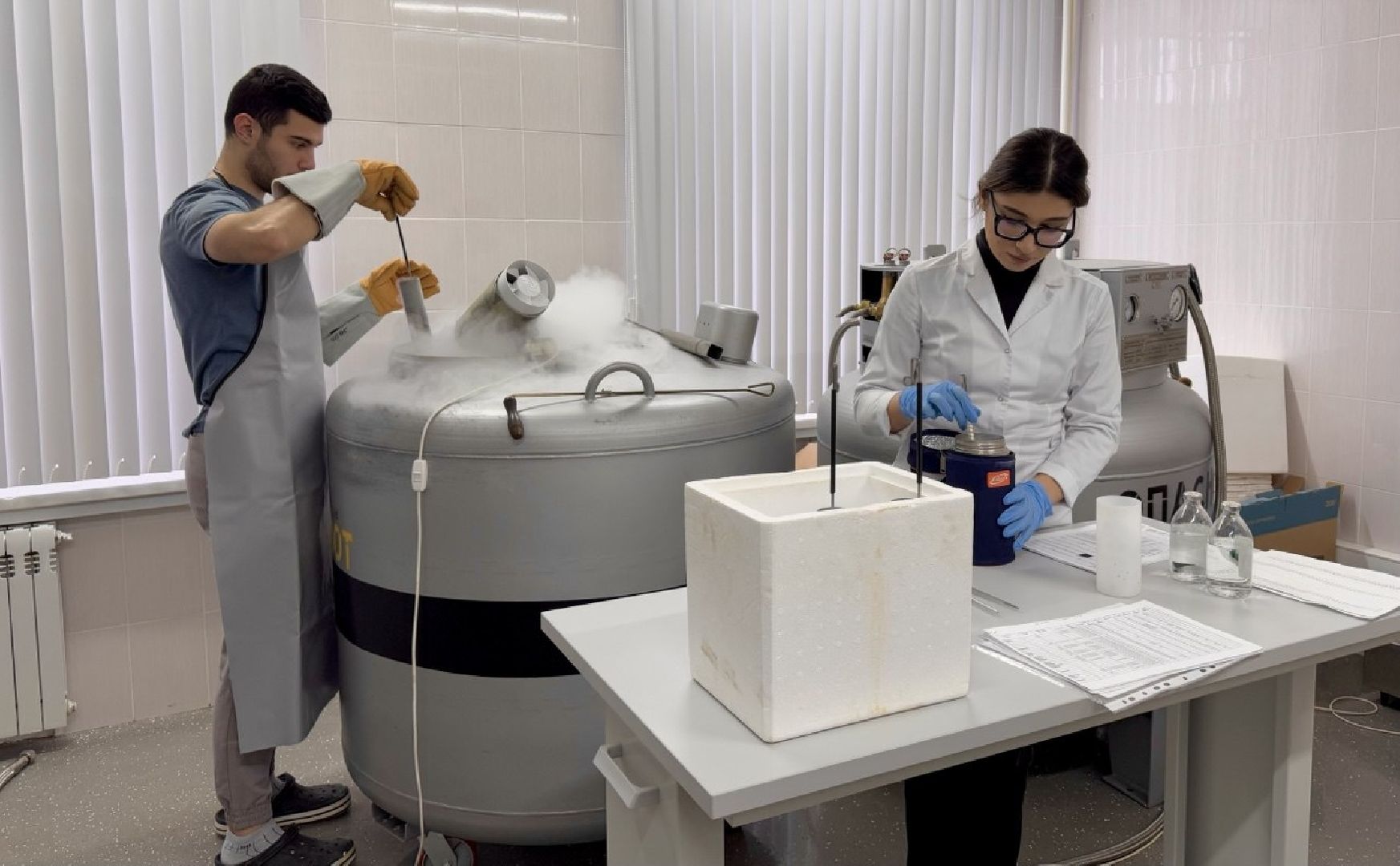 Подольск, виж им эрнста, Генофонд, коровы,Клонирование,Ученые,