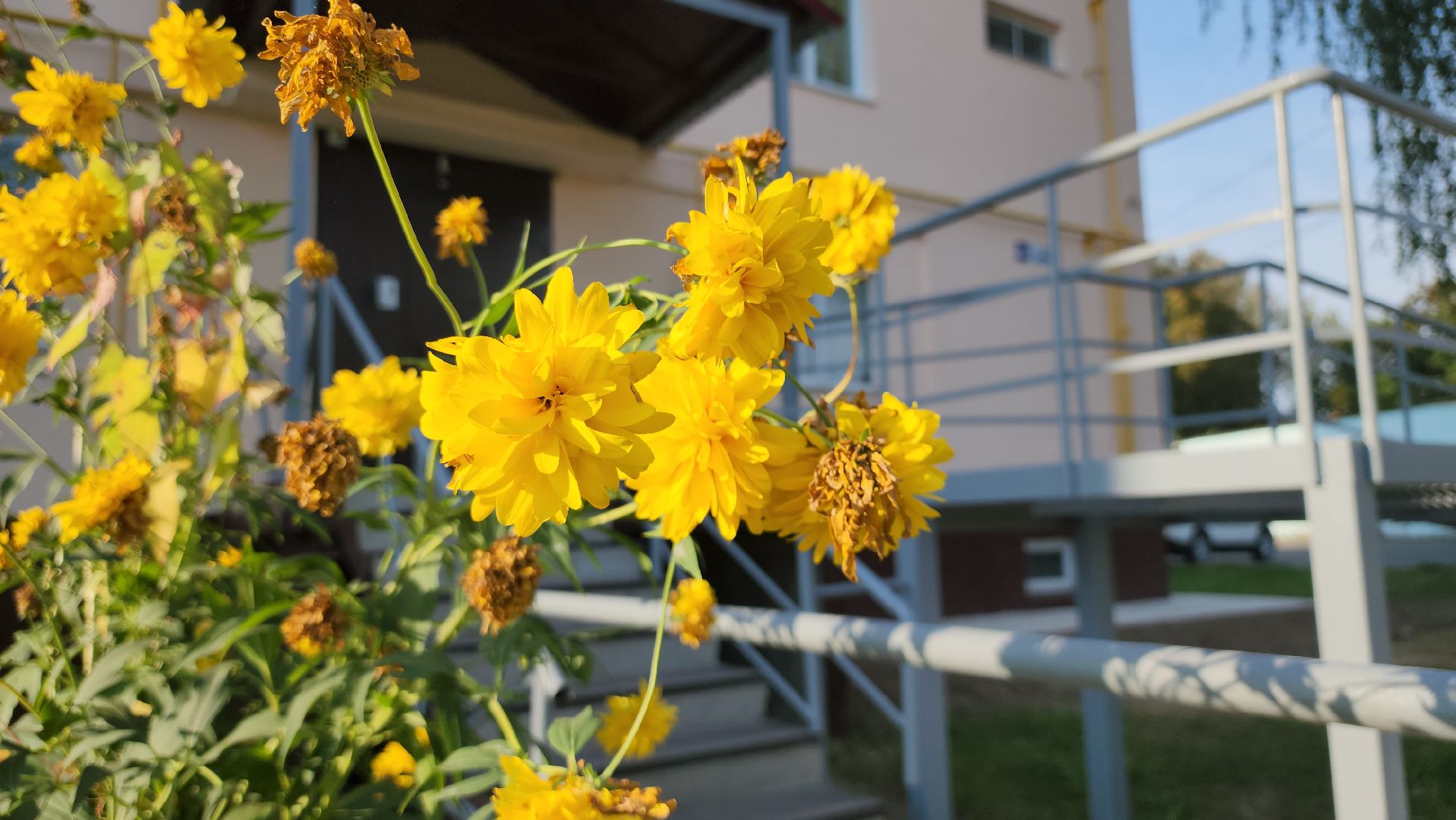 щёлково, Трубино, обновление фасада, ремонт дома,