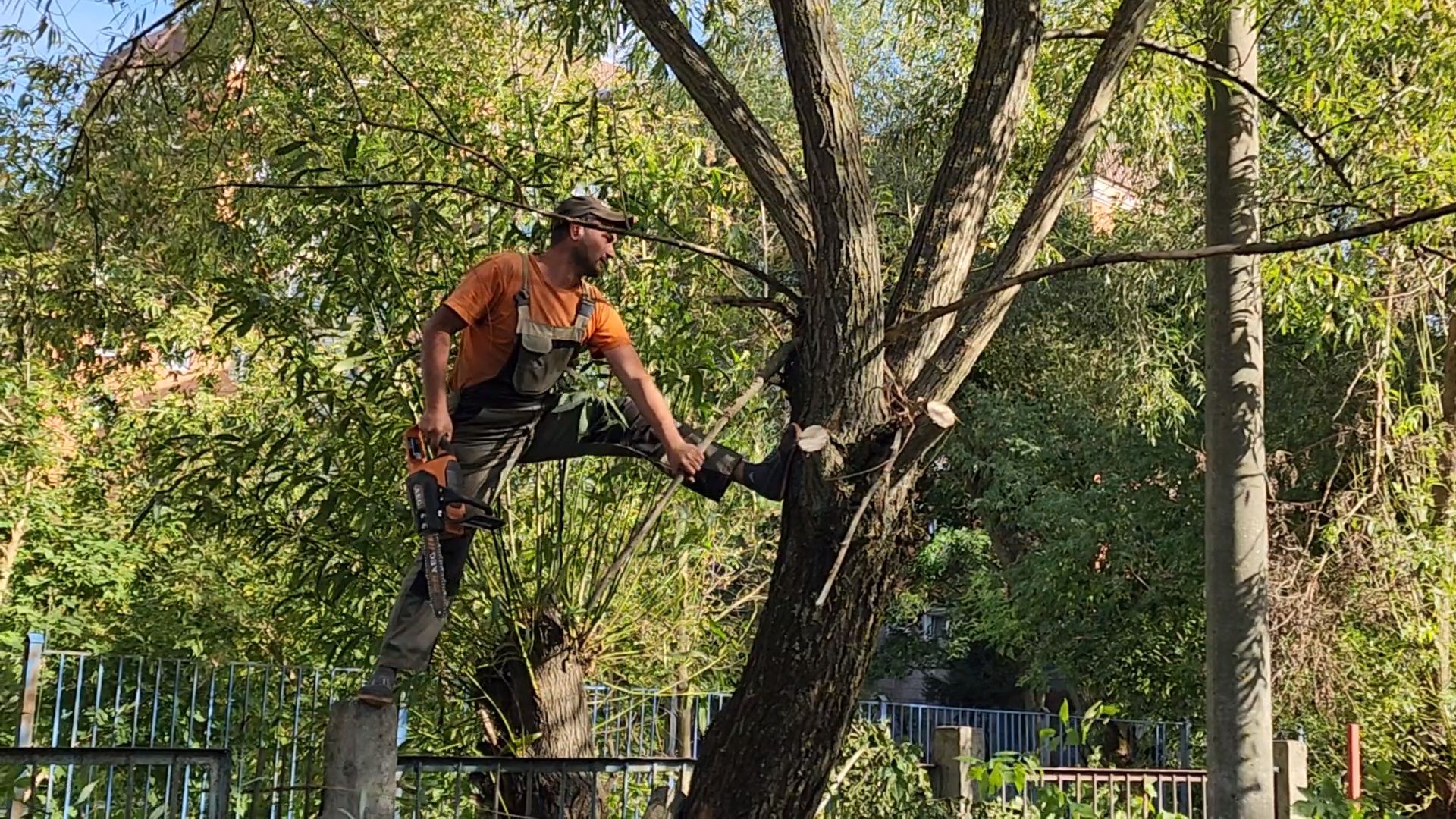 чехов, улица чехова 8а, гимназия 2, пристройка на 550 мест, строительство, начало работ, опиловка деревьев, удаление аварийных деревьев, удаление сухостоя, установка новых ограждений, планировка, строительный городок, завоз материалов, спецтехника, госпрограмма московской области, губернатор подмосковья, устранение второй смены, новый корпус,