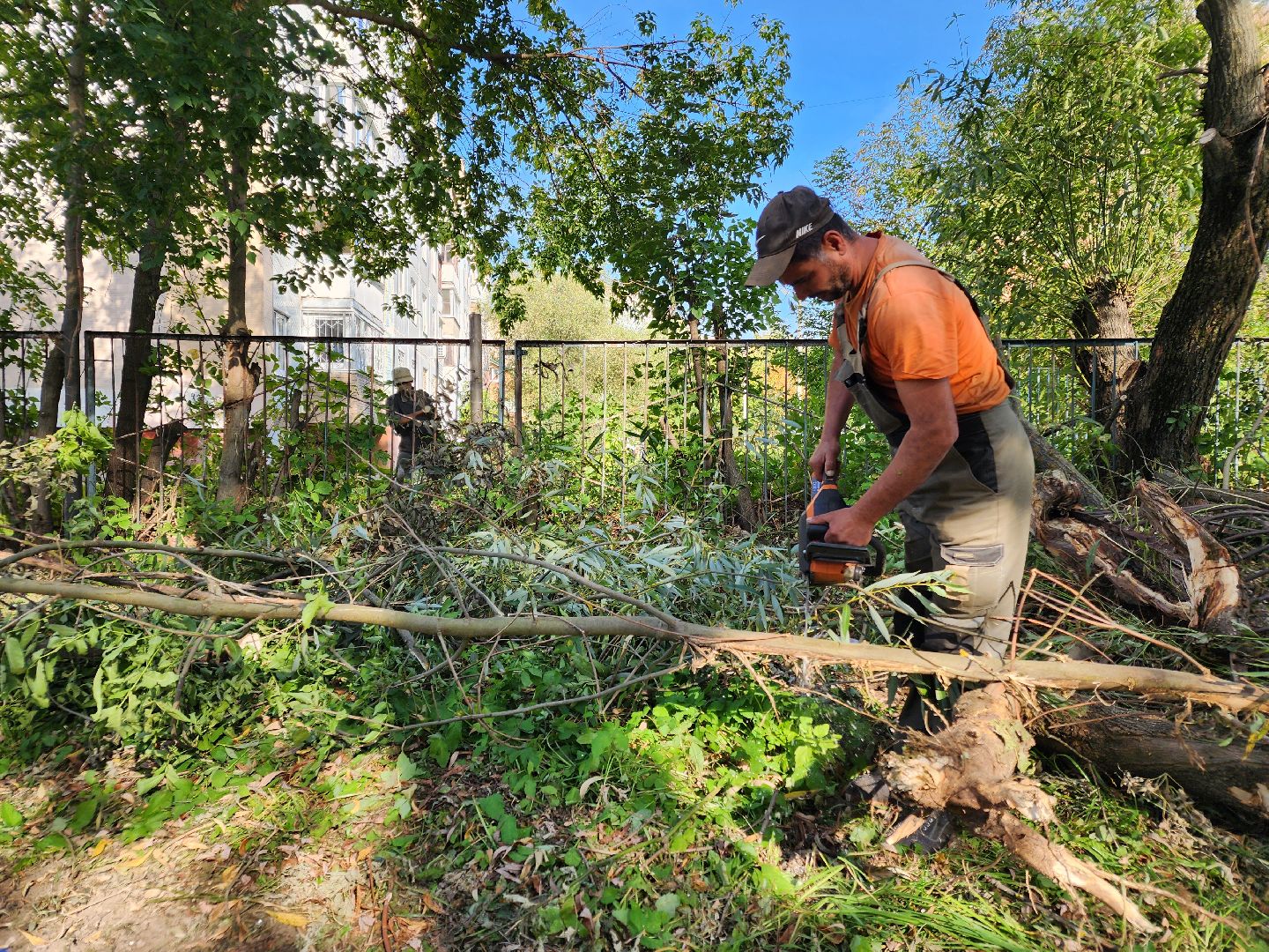 чехов, улица чехова 8а, гимназия 2, пристройка на 550 мест, строительство, начало работ, опиловка деревьев, удаление аварийных деревьев, удаление сухостоя, установка новых ограждений, планировка, строительный городок, завоз материалов, спецтехника, госпрограмма московской области, губернатор подмосковья, устранение второй смены, новый корпус,