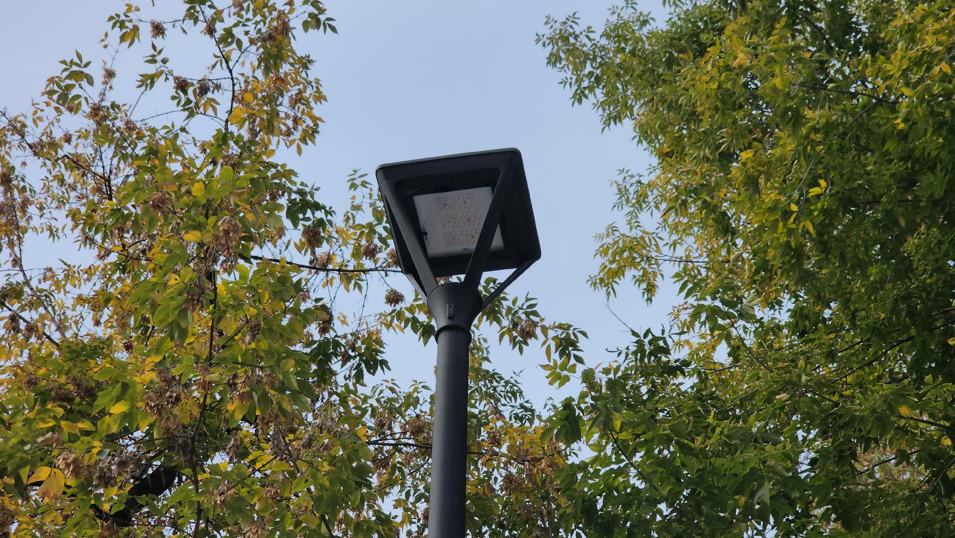 щёлково, новый сквер, благоустройство 2025,