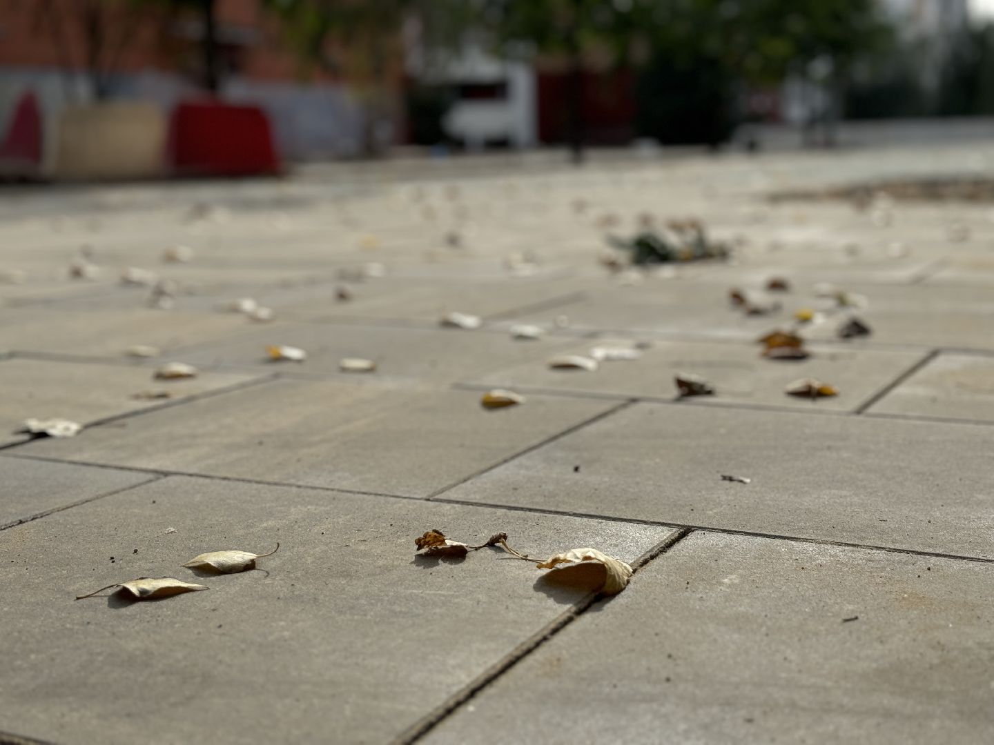 ленинский городской округ, благоустройство сквера, формирование комфортной городской среды,