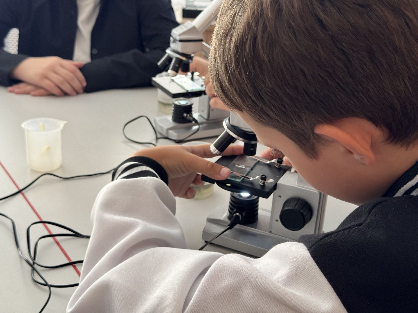 шаховская, точка роста, преподаватель биологии, биология, микроскоп,