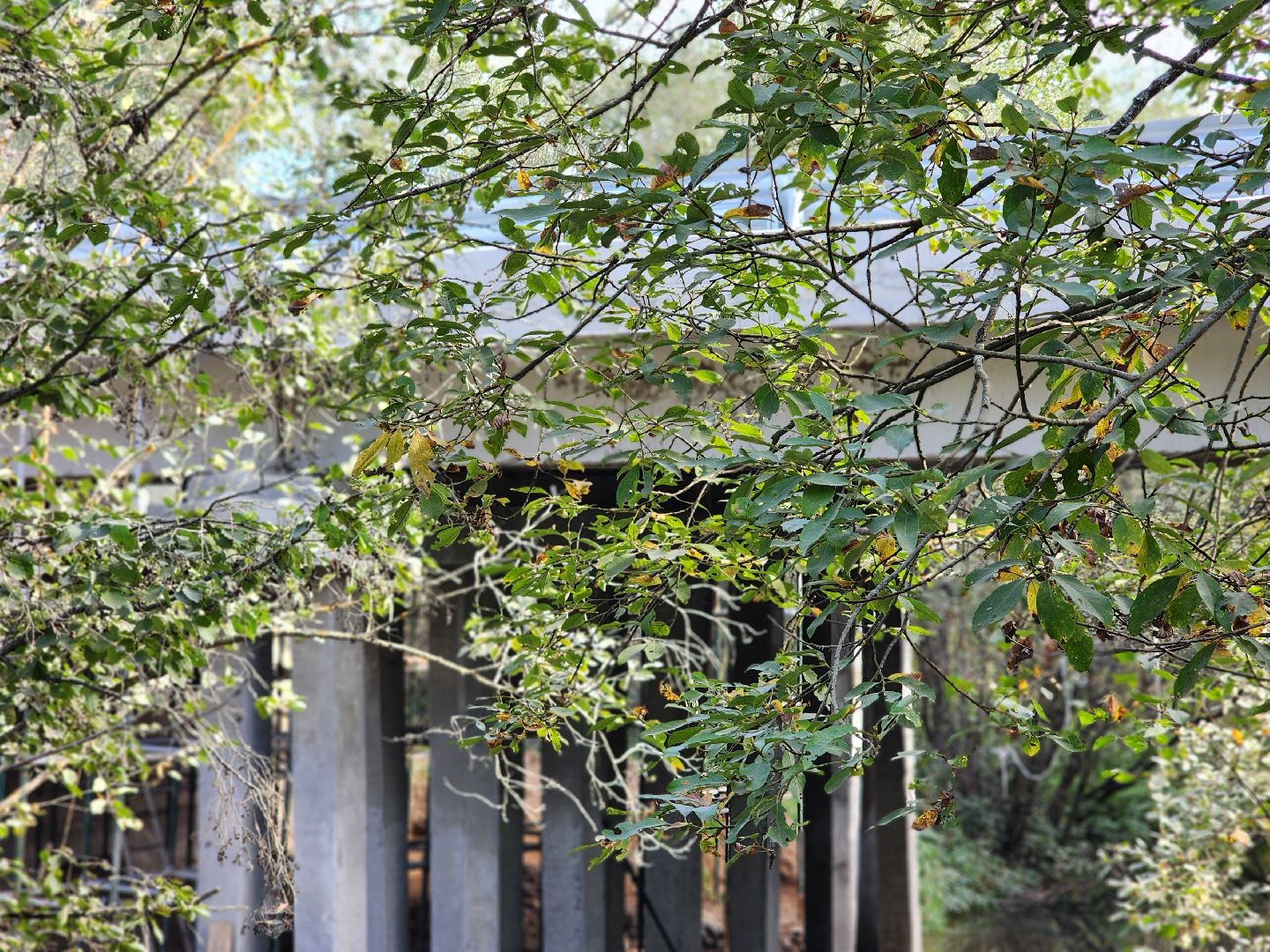 сергиев посад, сергиево-посадский городской округ, оргрэс, мост, ремонт моста, мостовик, хотьково, дмитров, река пажа, капитальный ремонт моста,