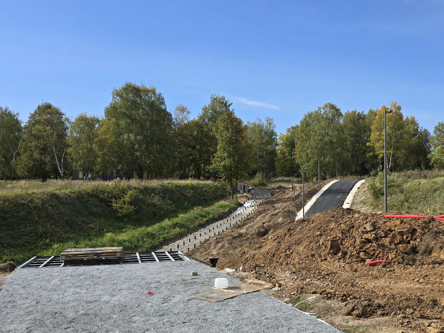 Коломна, благоустройство, парки в лесу,