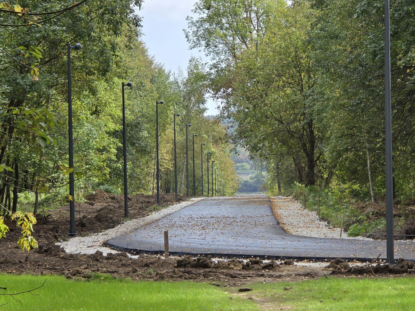Коломна, благоустройство, парки в лесу,