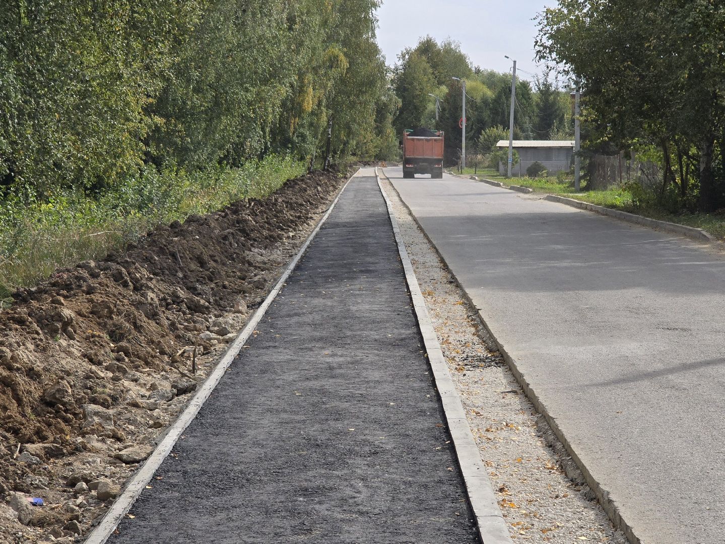 Коломна, благоустройство, парки в лесу,