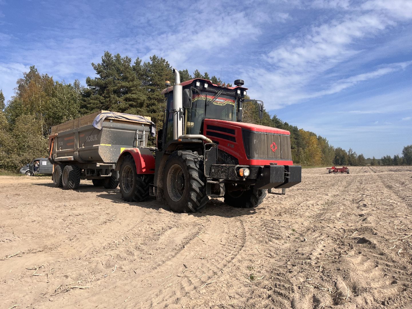 Урожай картофеля, сбор урожая, шатура, шатура новости, Шатура сельское хозяйство,