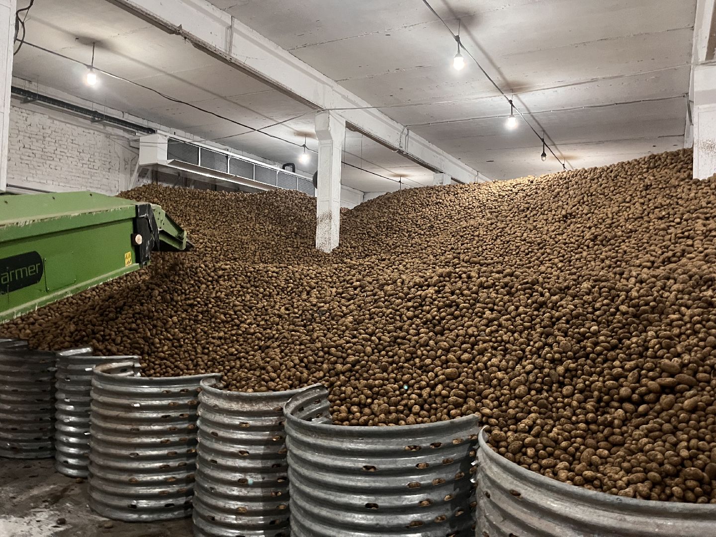 Урожай картофеля, сбор урожая, шатура, шатура новости, Шатура сельское хозяйство,