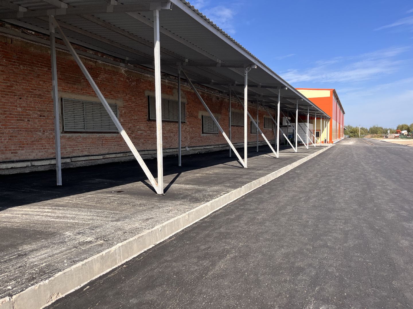 Урожай картофеля, сбор урожая, шатура, шатура новости, Шатура сельское хозяйство,