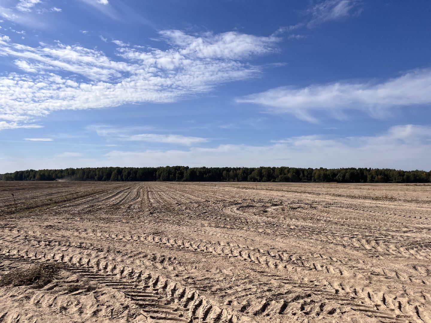 Урожай картофеля, сбор урожая, шатура, шатура новости, Шатура сельское хозяйство,