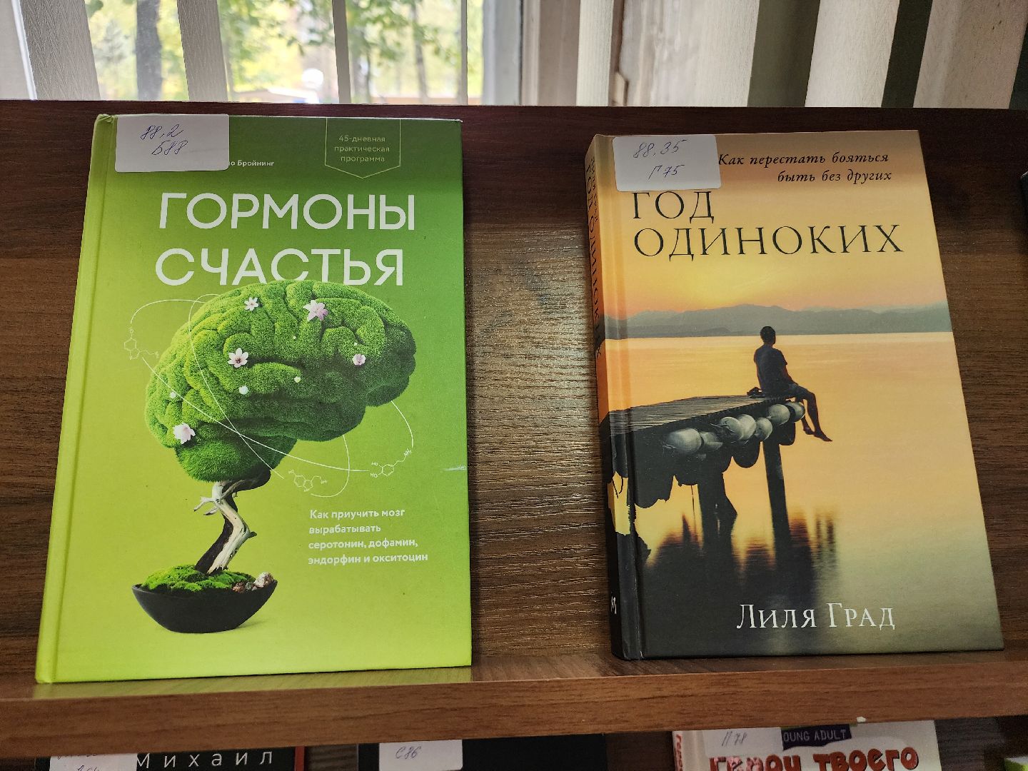 фрязино, чтение книг, библиотека, новые книги,