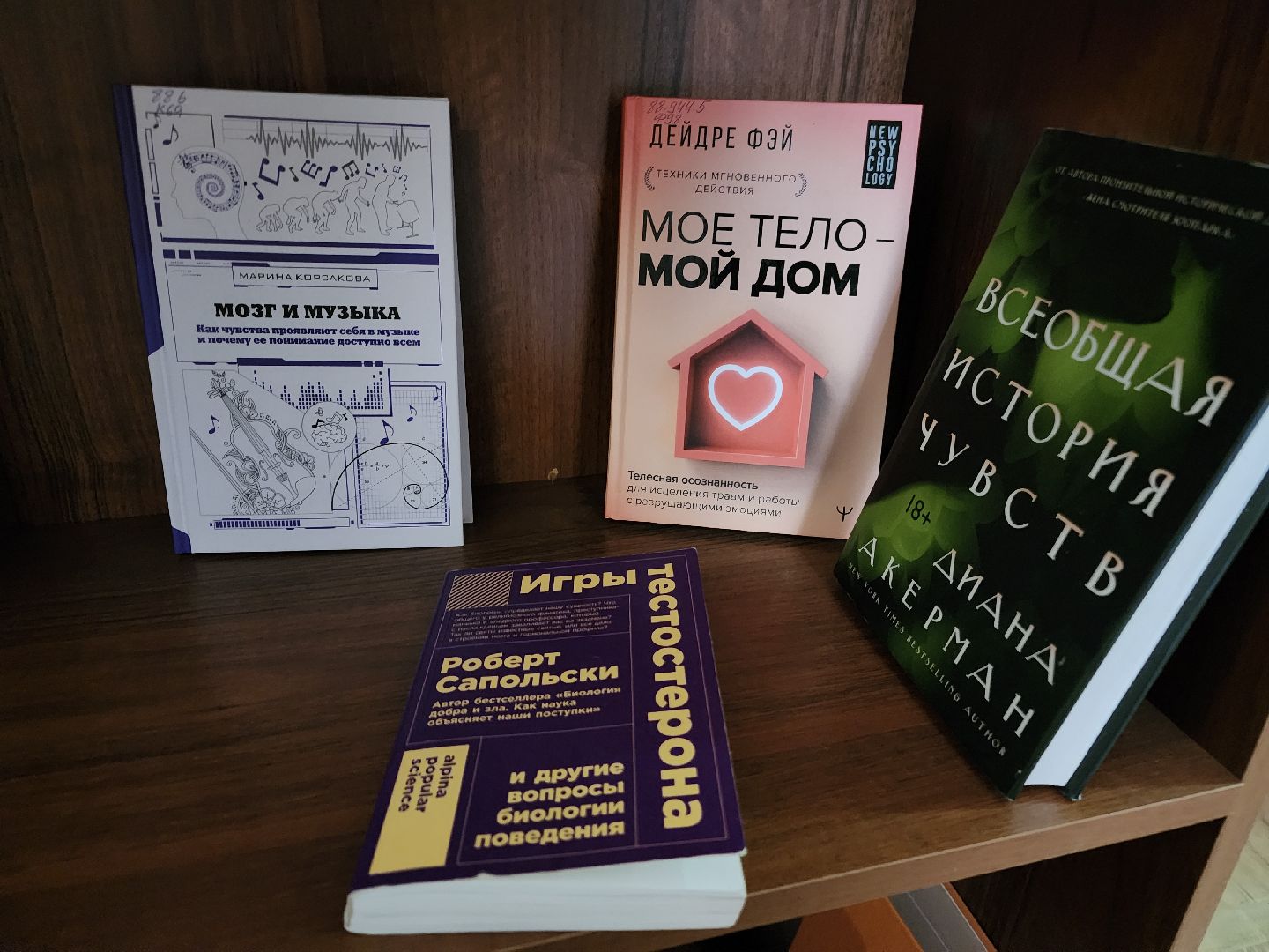 фрязино, чтение книг, библиотека, новые книги,