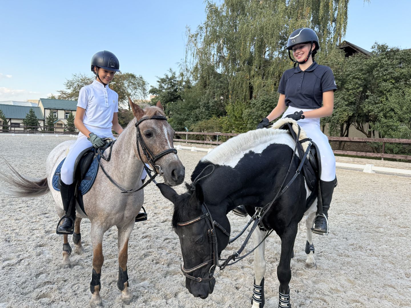 Котельники, Конный спорт, соревнование, Первенство по троеборью, Медалисты,
