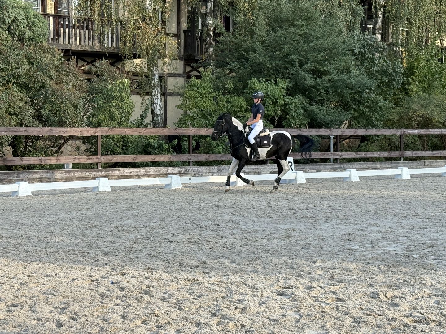 Котельники, Конный спорт, соревнование, Первенство по троеборью, Медалисты,