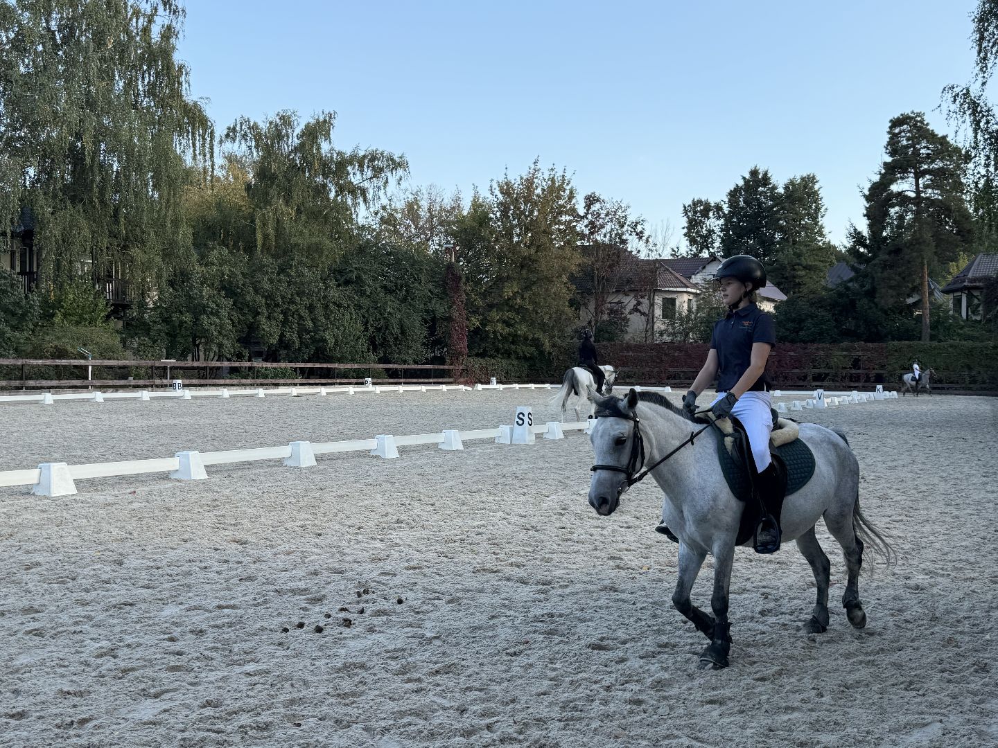 Котельники, Конный спорт, соревнование, Первенство по троеборью, Медалисты,