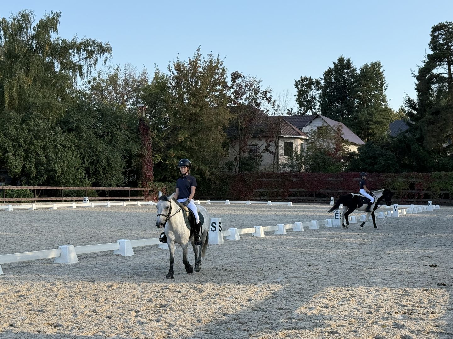 Котельники, Конный спорт, соревнование, Первенство по троеборью, Медалисты,