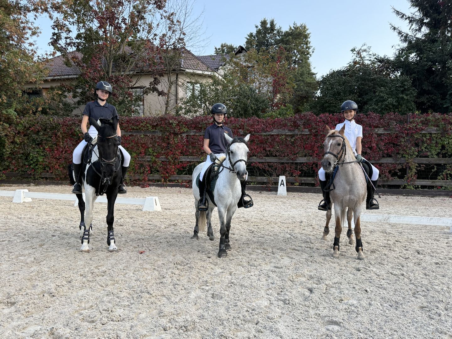 Котельники, Конный спорт, соревнование, Первенство по троеборью, Медалисты,