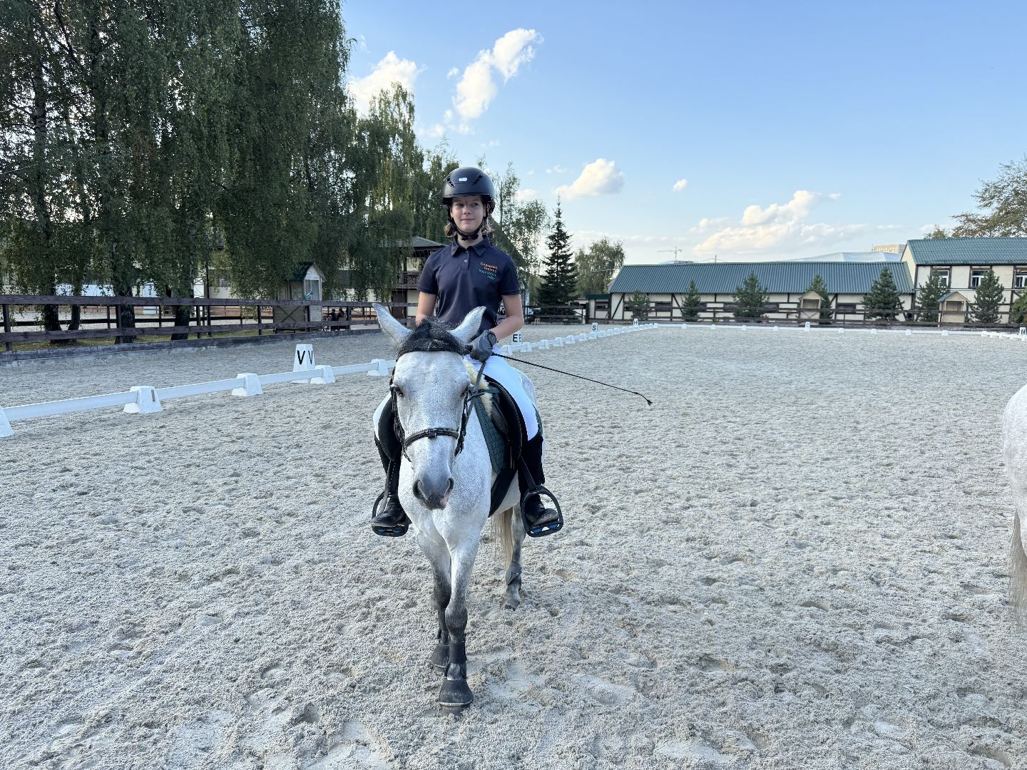 Котельники, Конный спорт, соревнование, Первенство по троеборью, Медалисты,