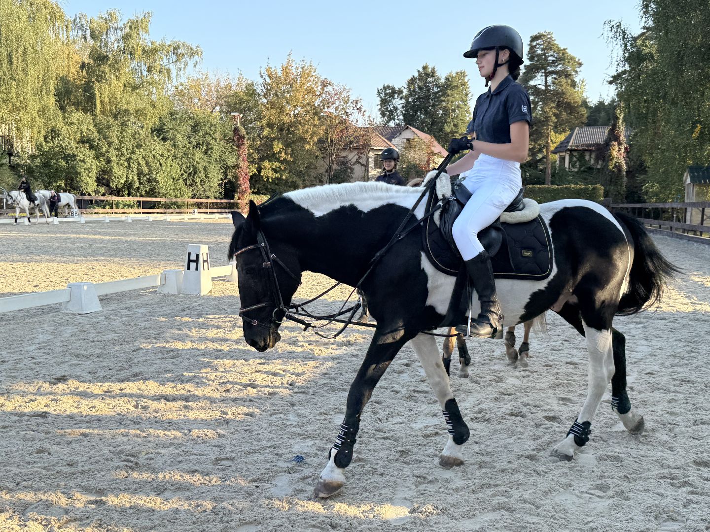 Котельники, Конный спорт, соревнование, Первенство по троеборью, Медалисты,