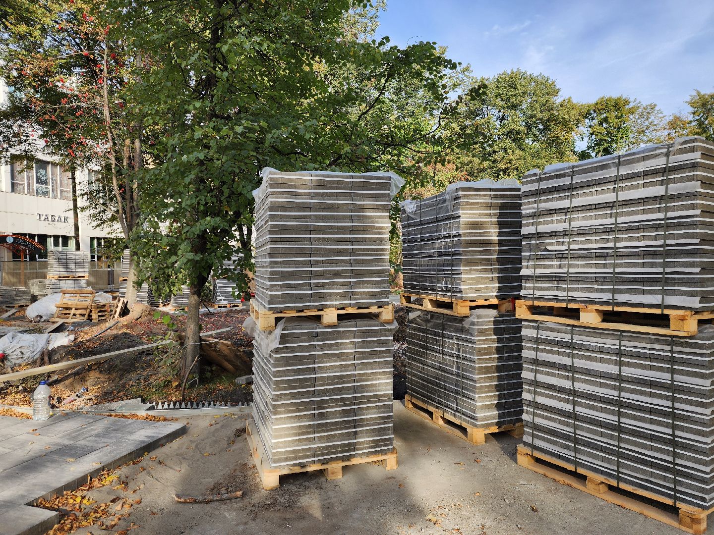 ногинск, благоустройство , сквер, ремонт, общество, жители,