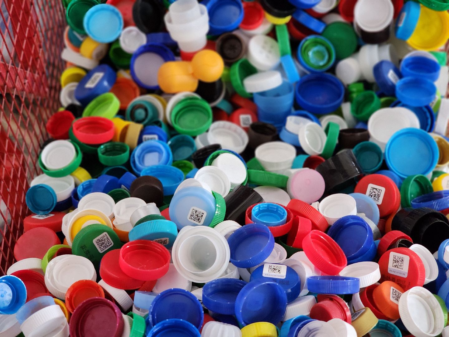 экологическая акция, переработка вторсырья, полезные крышечки, ногинск, богородский городской округ,