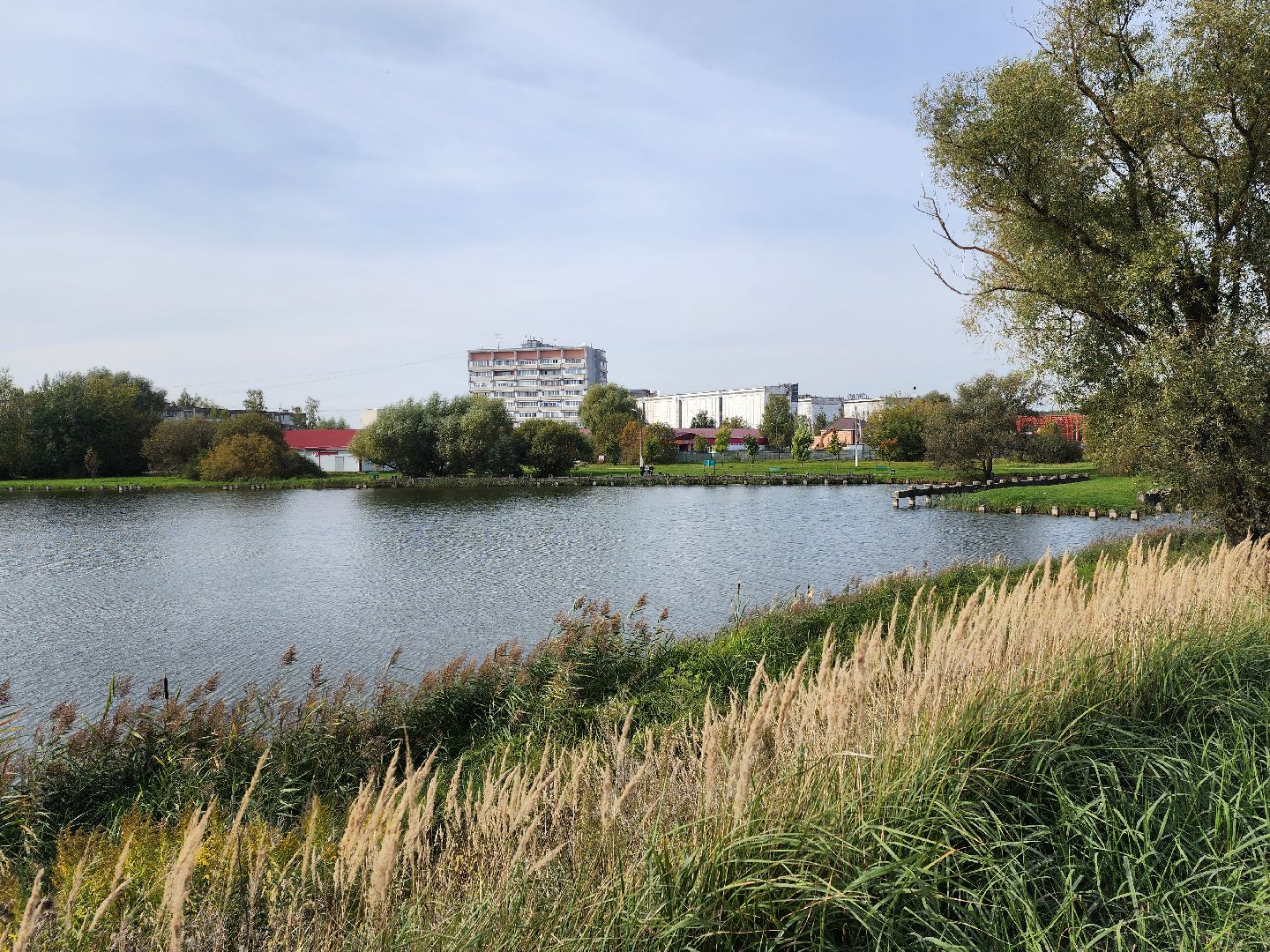 раменское, общество, выездная администрация , поселок дружба, раменский кобинат хлебопродуктов,