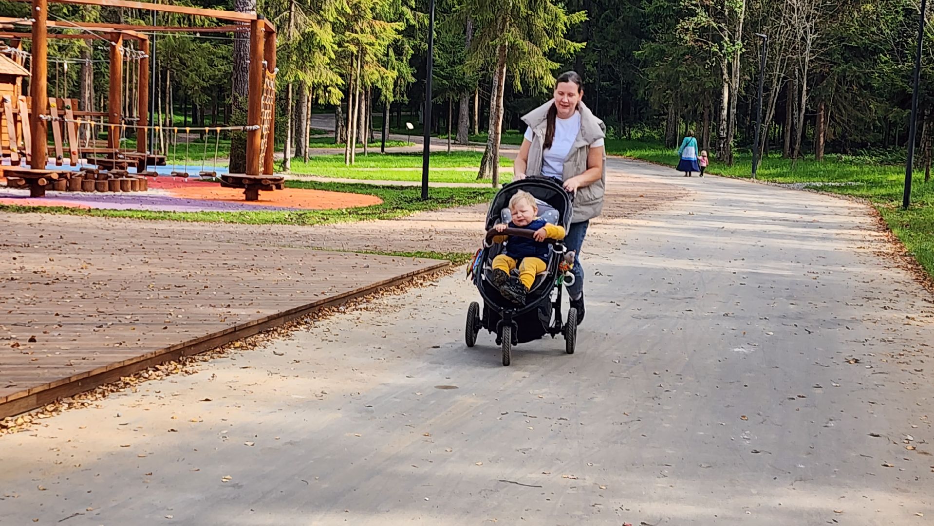 благоустройство, истра, лесопарк,