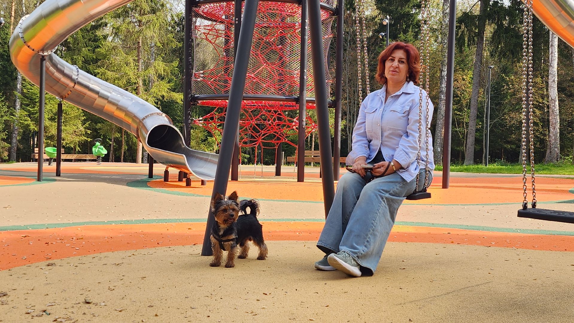 благоустройство, истра, лесопарк,