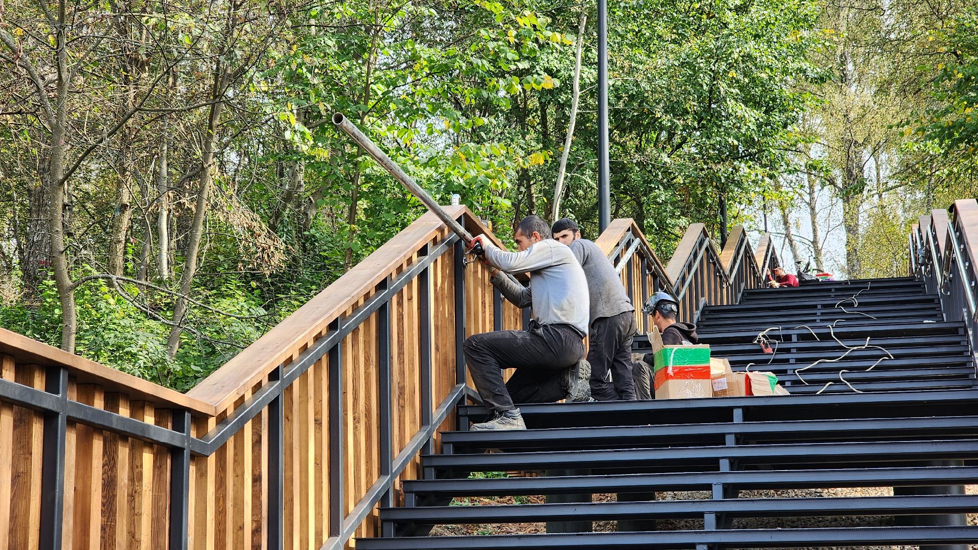 благоустройство, истра, лесопарк,