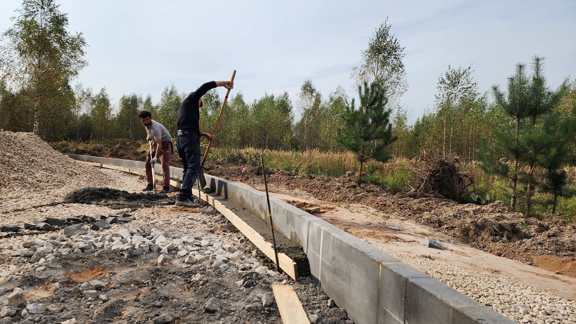 благоустройство, истра, лесопарк,