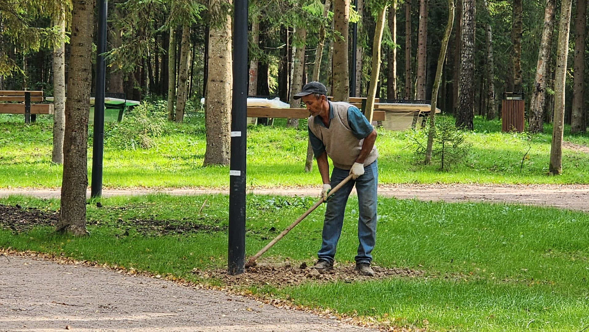 благоустройство, истра, лесопарк,