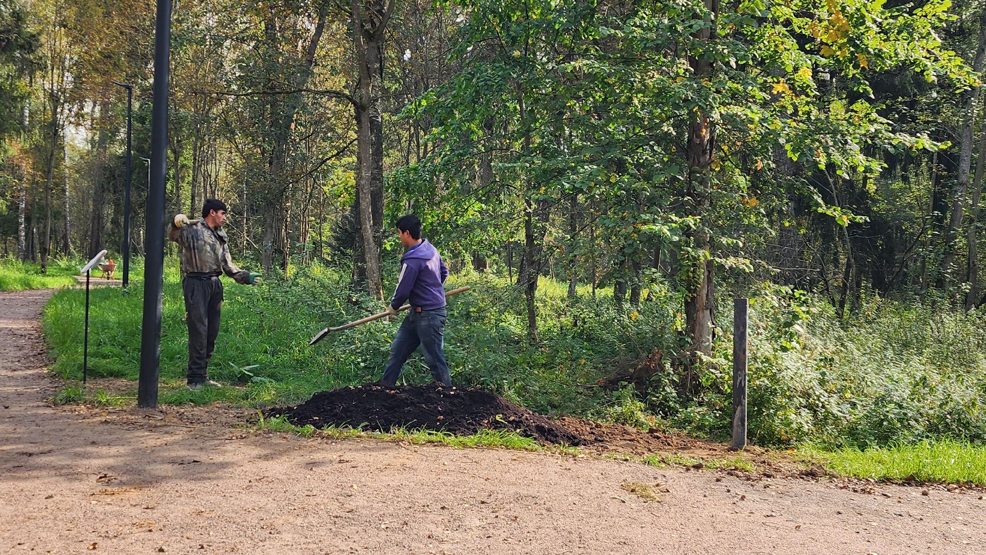 благоустройство, истра, лесопарк,