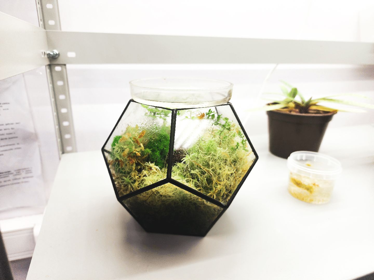 пущино, серпухов, образование, дополнительное образование, наука в школе,