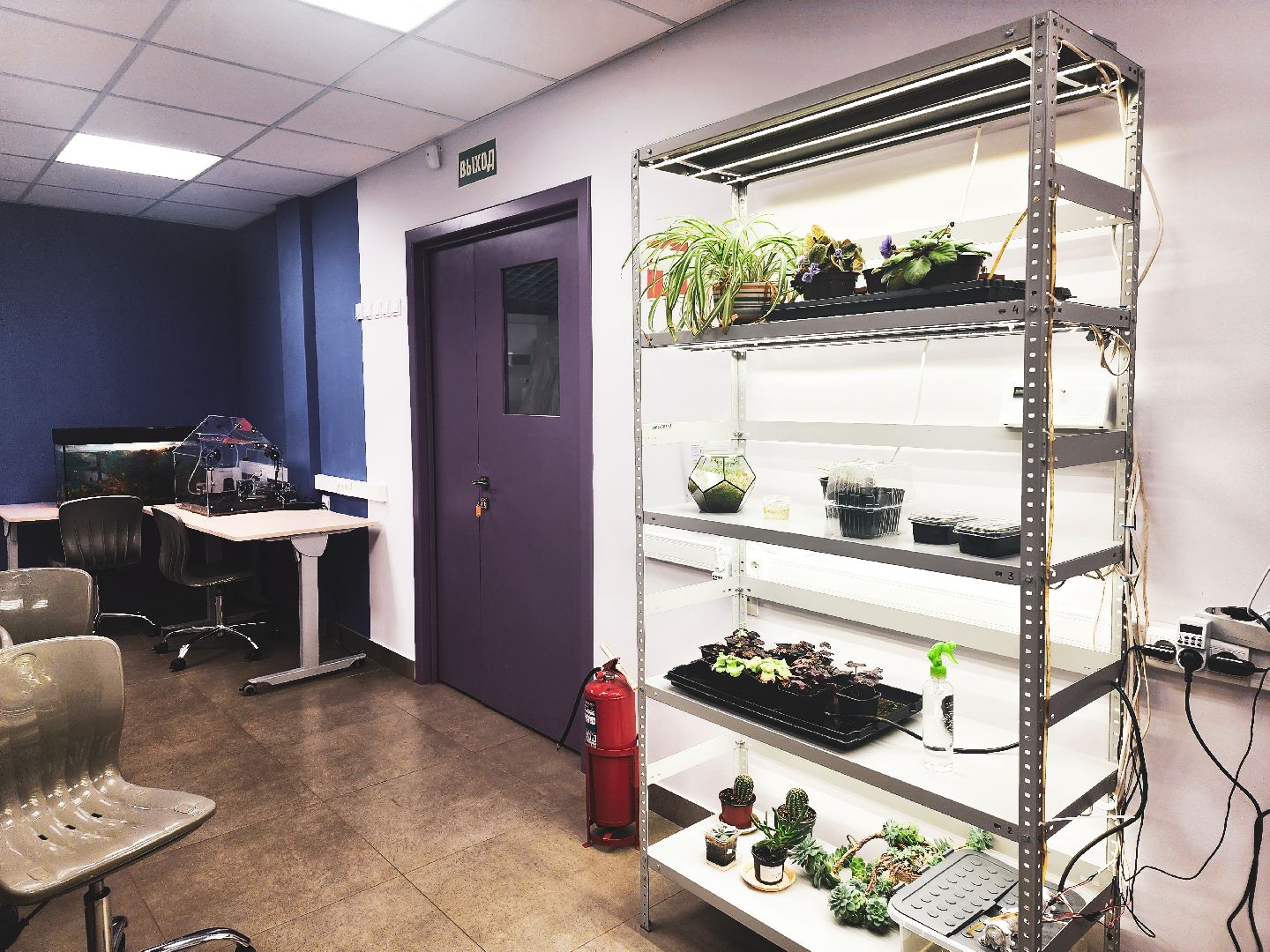 пущино, серпухов, образование, дополнительное образование, наука в школе,