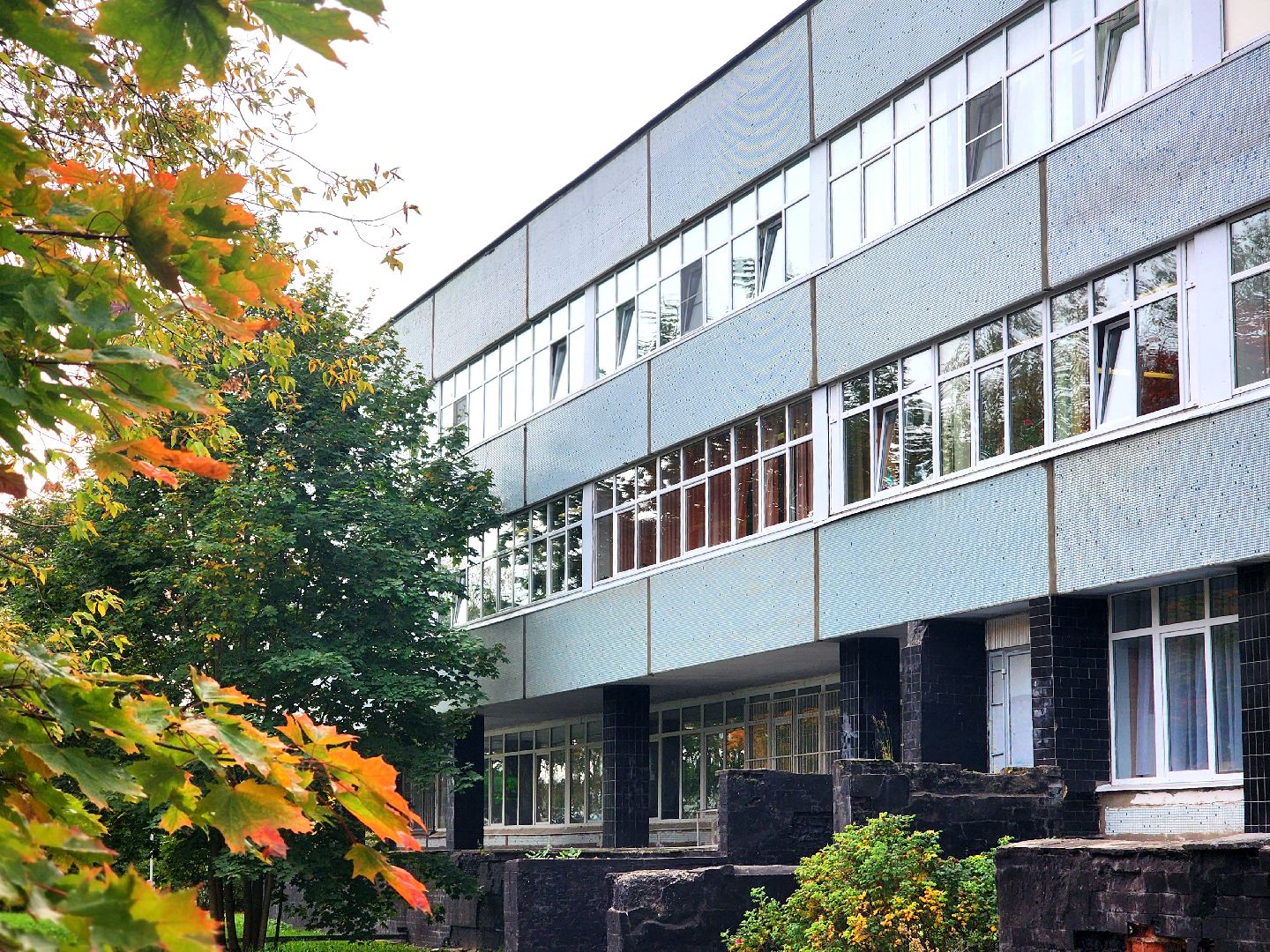 дубна, волонтеры подмосковья, добро без границ, движение первых дубна, гуманитаная помощь,благотворительность,