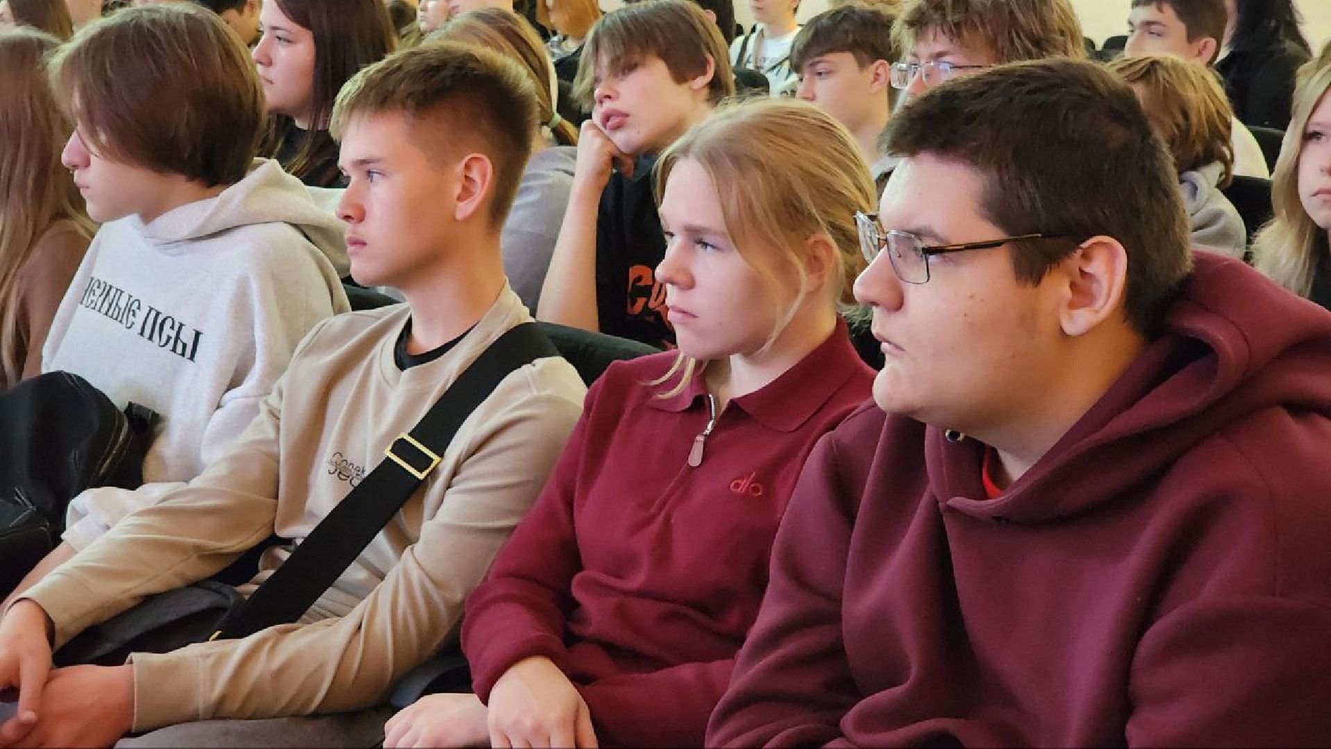 Дмитров, Прокуратура, Подмосковный политехнический колледж, Дистанционное мошенничество,