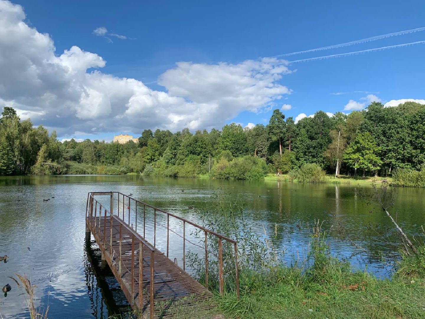 ступино, утки, охота на уток,