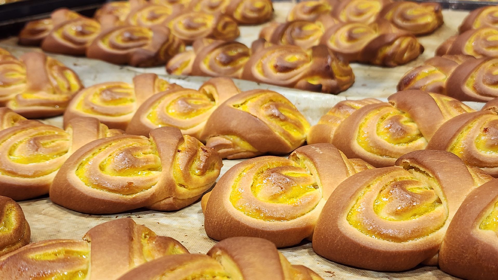 волоколамск, новые рабочие места,