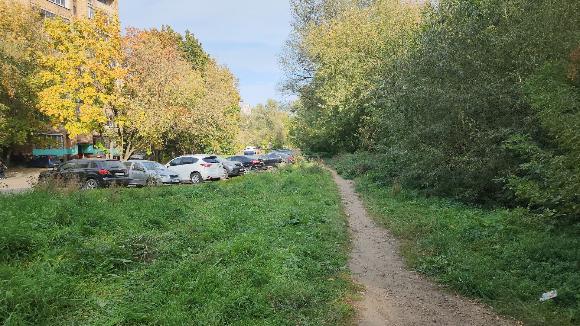 щёлково, выездная администиация, площадка для выгула собак,